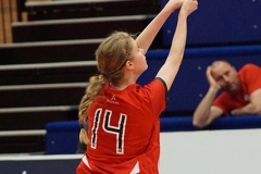 Scottish Volleyball Association, Women's Thistle Bowl, University of Edinburgh 2 v 3 QTS Kyle Team Ayrshire (25-23, 20-25, 25-23, 13-25, 9-15), University of Edinburgh Centre for Sport and Exercise, Sat 18th Apr 2015.